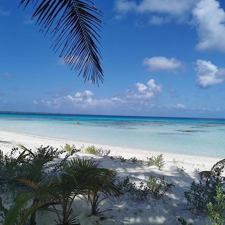 Aotera Guest House أفاتورو المظهر الخارجي الصورة